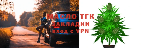 таблы Гусев