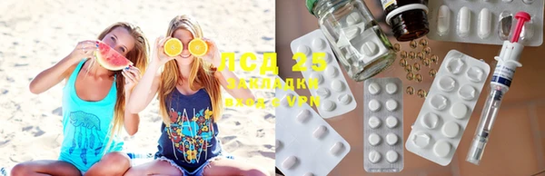 таблы Гусев