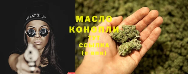таблы Гусев