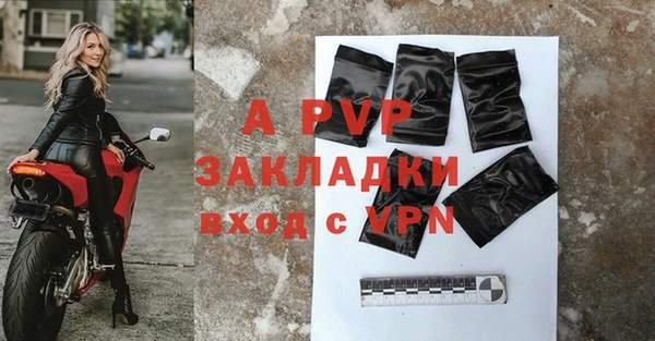 таблы Гусев