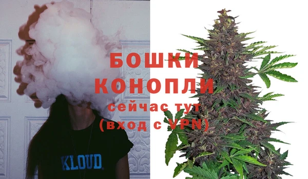 таблы Гусев