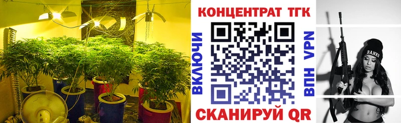 Дистиллят ТГК Wax  Купить где  Исилькуль 